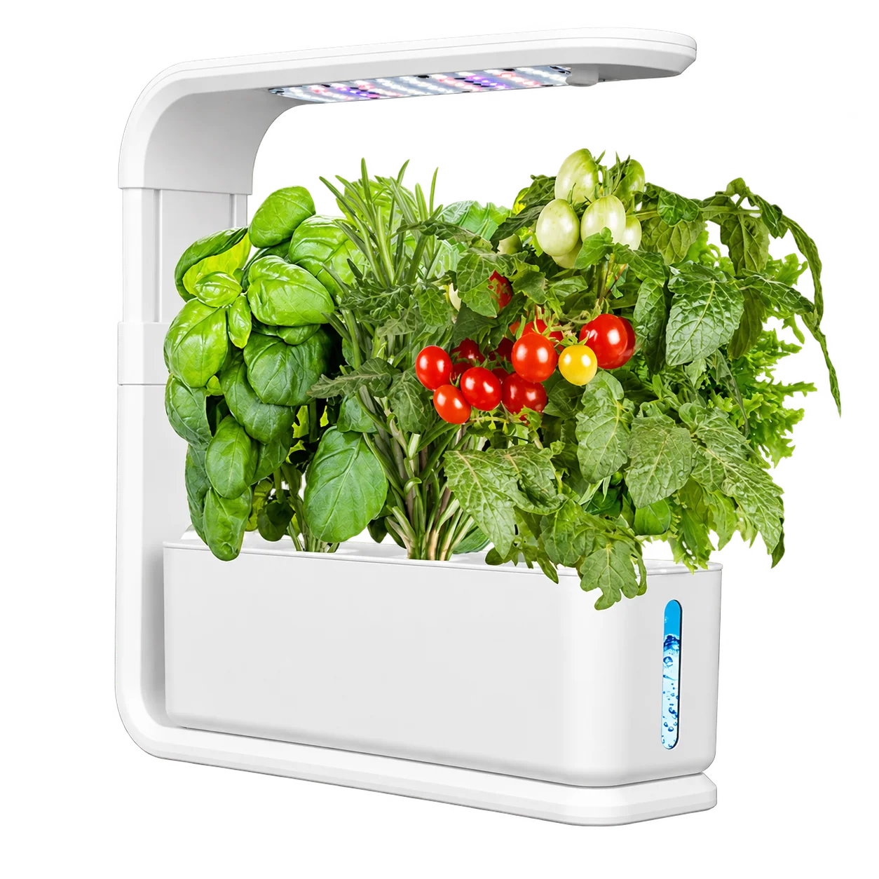 White three-pod hydroponic garden with an adjustable lamp and leafy plants