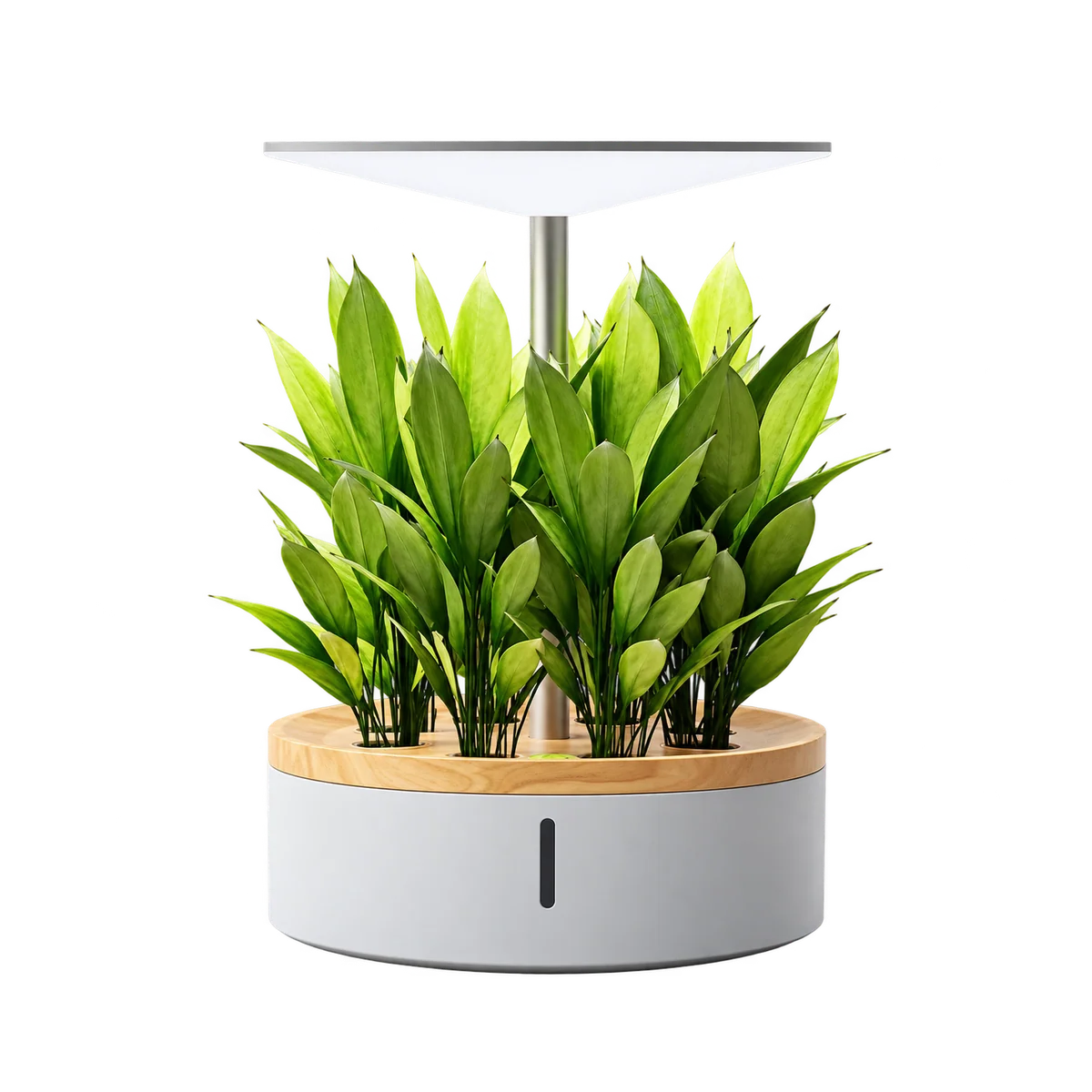 Transparent-background cutout of the round GrowGrid Halo UL indoor garden with plants